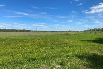 Фото №1: Коммерция 287 м² - Энем, ул. Первомайская