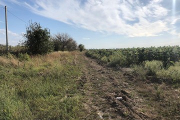 Фото №3: Коммерческая земля 287 сот. - Энем, ул. Первомайская