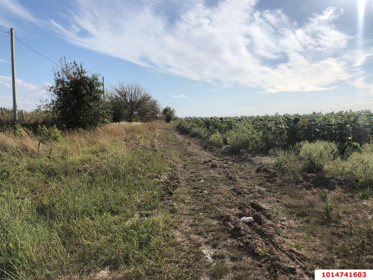 Фото №3: Коммерческая земля 287 сот. - Энем, ул. Первомайская