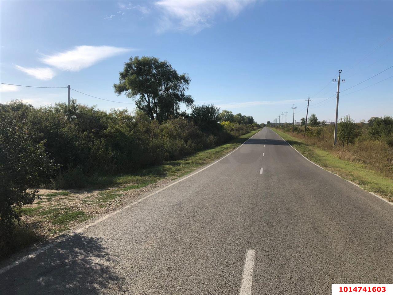 Фото №7: Коммерческая земля 287 сот. - Энем, ул. Первомайская