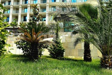 Фото №5: Студия 27 м² - Сочи, ж/р Хоста, ул. Володарского, 6