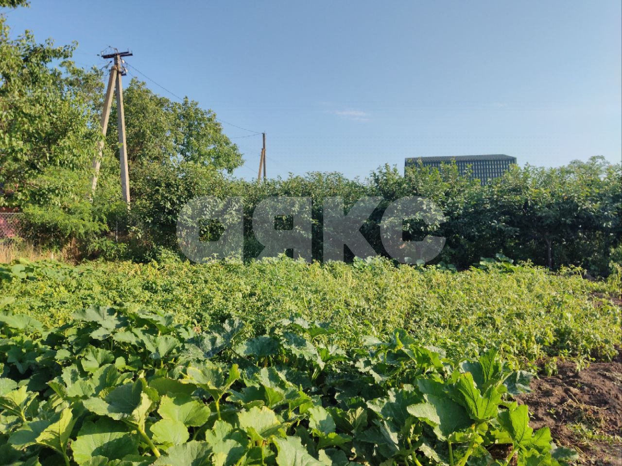 Фото №13: Личное подсобное хозяйство 9.1 сот. - Курчанская, ул. Пионерская, 6