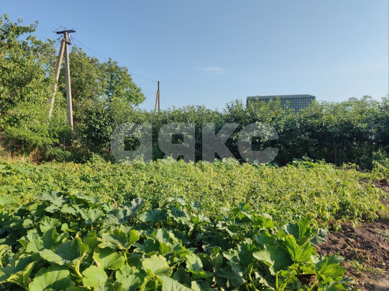 Фото №15: Личное подсобное хозяйство 9.1 сот. - Курчанская, ул. Пионерская, 6