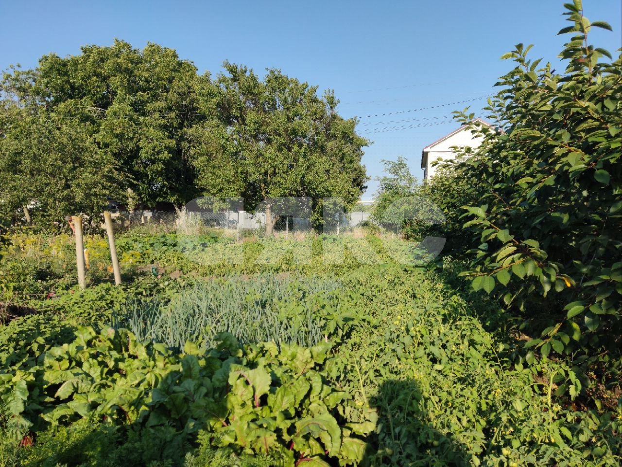 Фото №8: Личное подсобное хозяйство 9.1 сот. - Курчанская, ул. Пионерская, 6