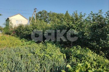Фото №5: Личное подсобное хозяйство - Курчанская, ул. Пионерская, 6