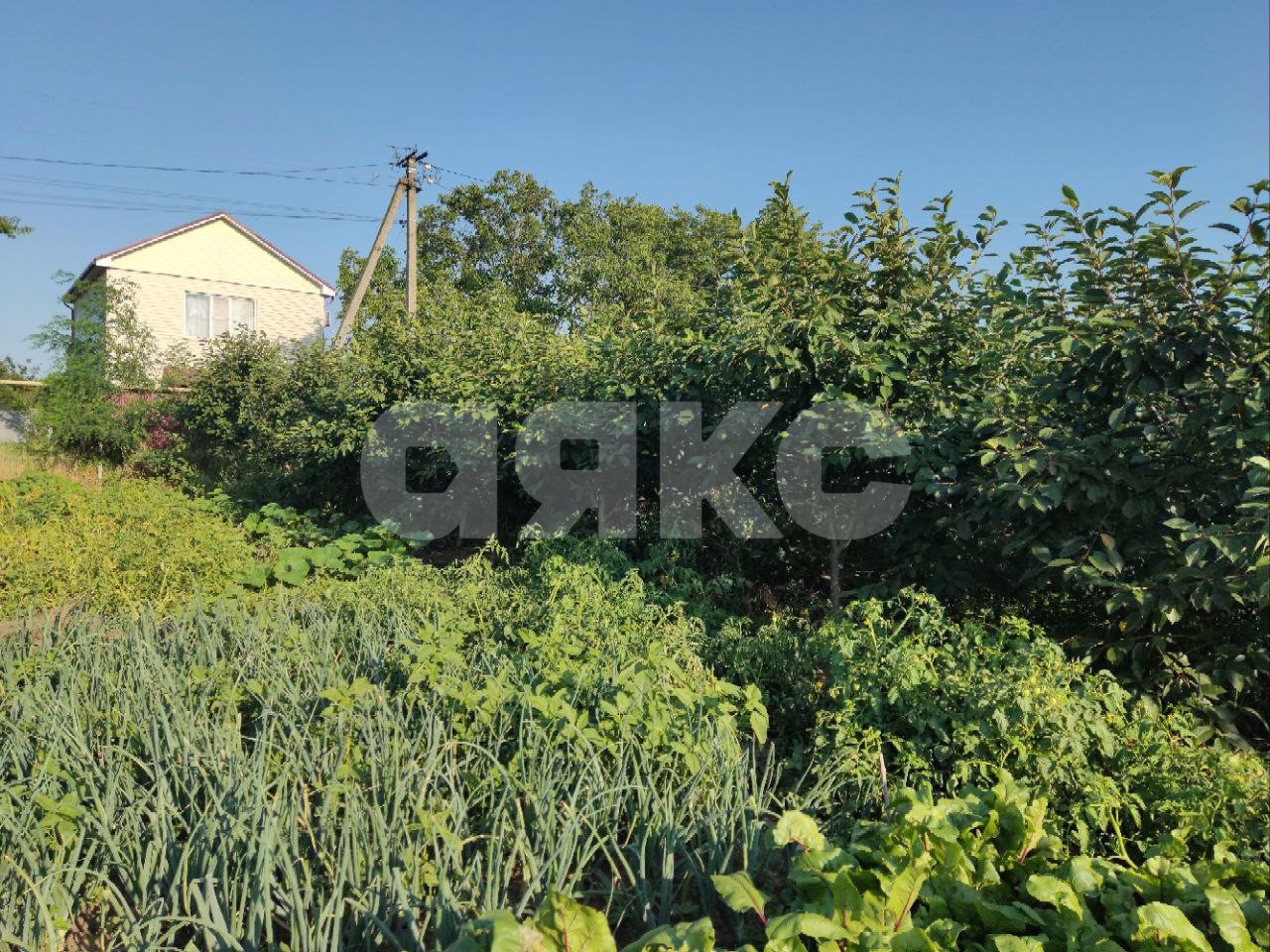 Фото №5: Личное подсобное хозяйство 9.1 сот. - Курчанская, ул. Пионерская, 6