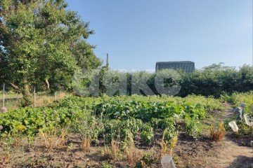 Фото №4: Личное подсобное хозяйство - Курчанская, ул. Пионерская, 6