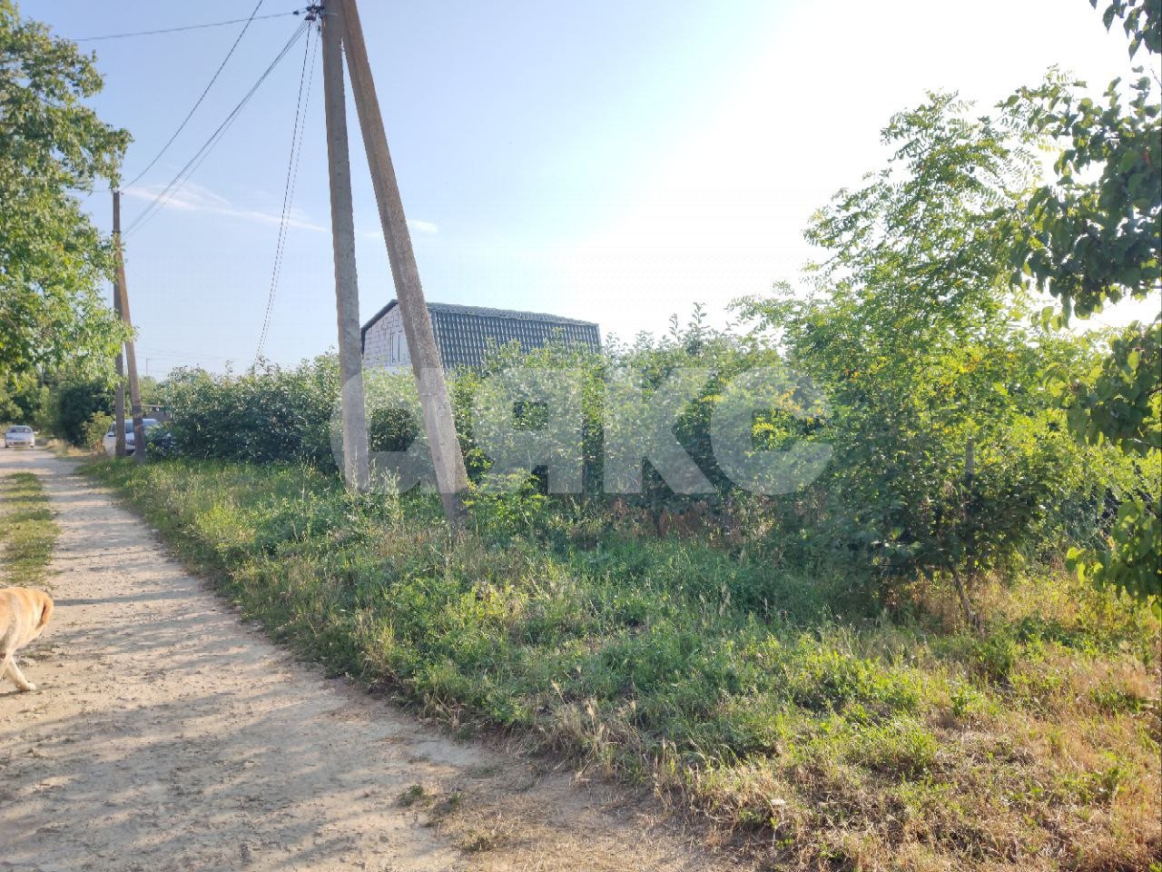 Фото №17: Личное подсобное хозяйство 9.1 сот. - Курчанская, ул. Пионерская, 6