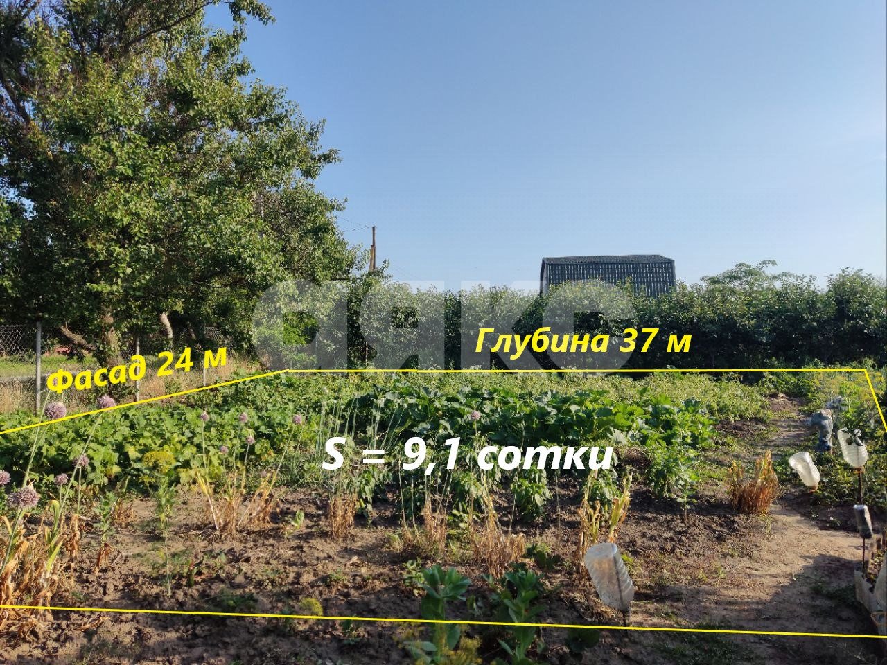 Фото №1: Личное подсобное хозяйство 9.1 сот. - Курчанская, ул. Пионерская, 6