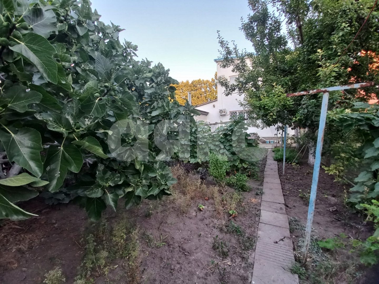 Фото №10: Дом 105 м² + 3 сот. - Анапа, ул. Тургенева, 275А