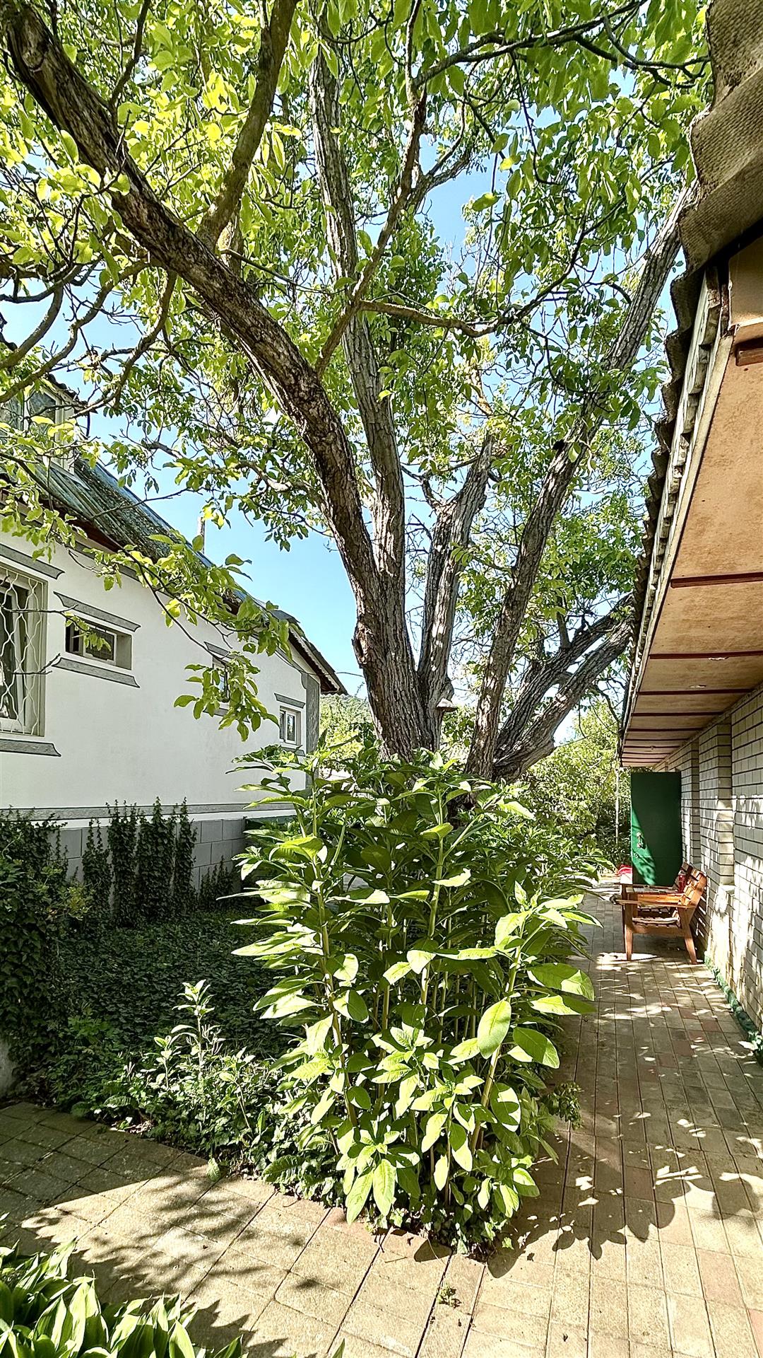 Фото №5: Дом 140 м² + 17.6 сот. - Сукко, б-р Георгиевский, 8