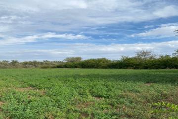 Фото №5: Коммерция 48 м² - Журавлёвка, 