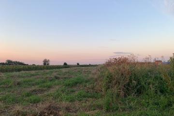 Фото №2: Коммерция 48 м² - Журавлёвка, 