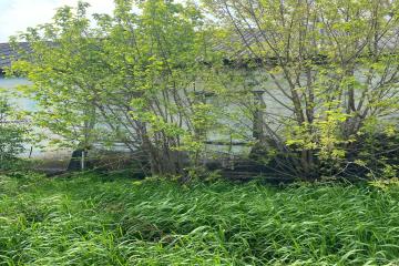 Фото №1: 1-комнатная квартира 33 м² - Песчаный, ул. Центральная, 17