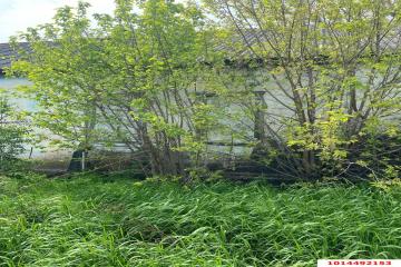 Фото №1: 1-комнатная квартира 33 м² - Песчаный, ул. Центральная, 17