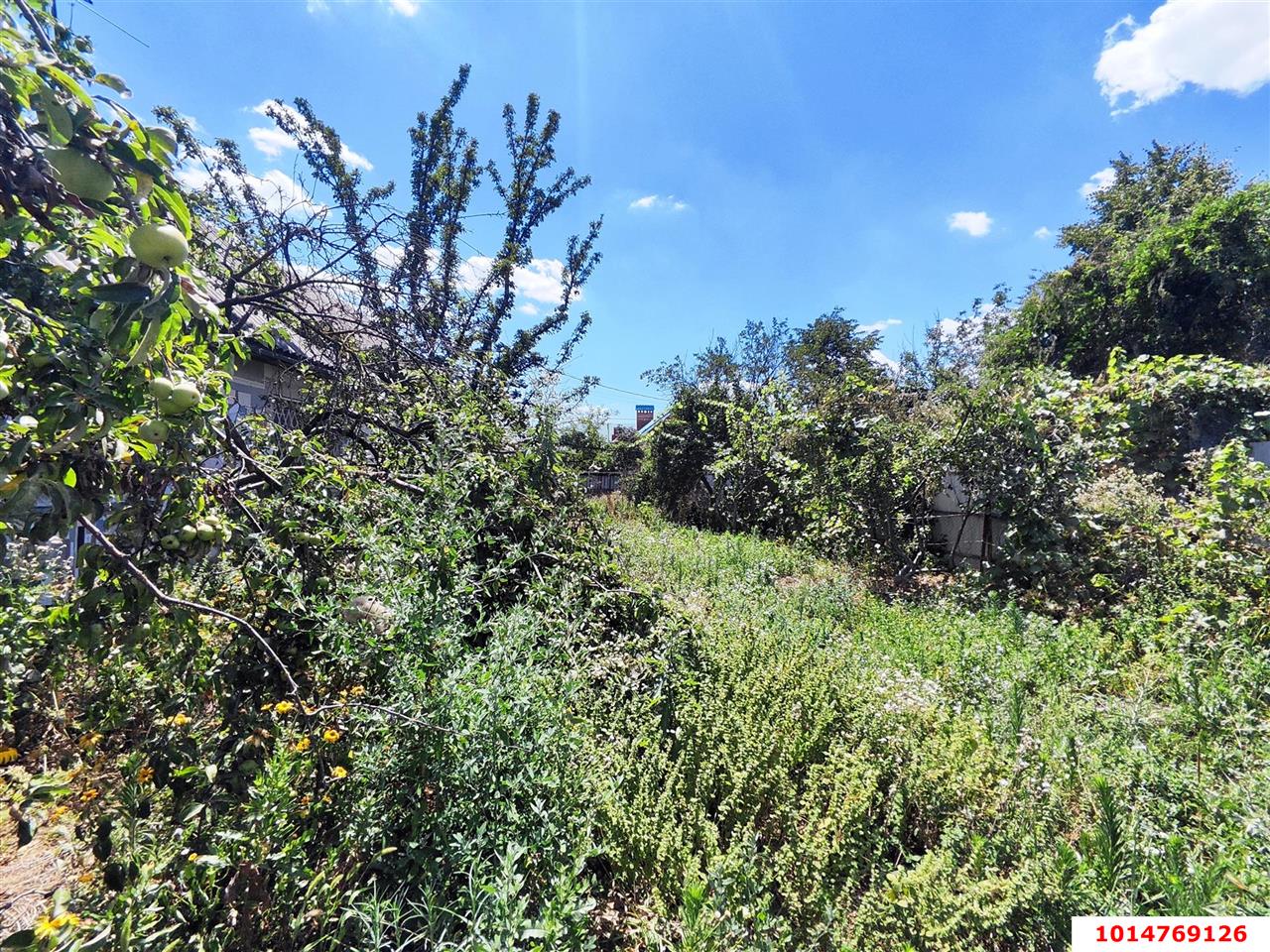 Фото №9: Дом 106 м² + 7.96 сот. - Южный, ул. Советская, 40