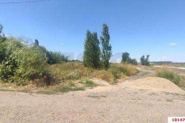 Фото №4: Участок садоводство 8 сот. - Южный, мкр. Олимпийский, ул. Тенистая, 5