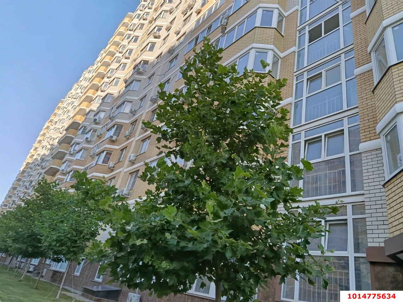 Фото №11: Студия 18 м² - Краснодар, Светлоград, ул. Красных Партизан, 1/4к3