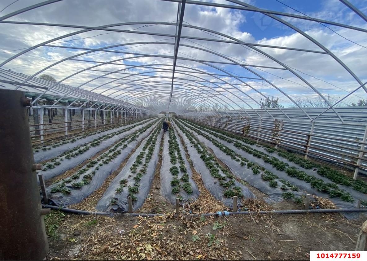 Фото №10: Дом 67 м² + 39 сот. - Суповский, ул. Ленина, 24