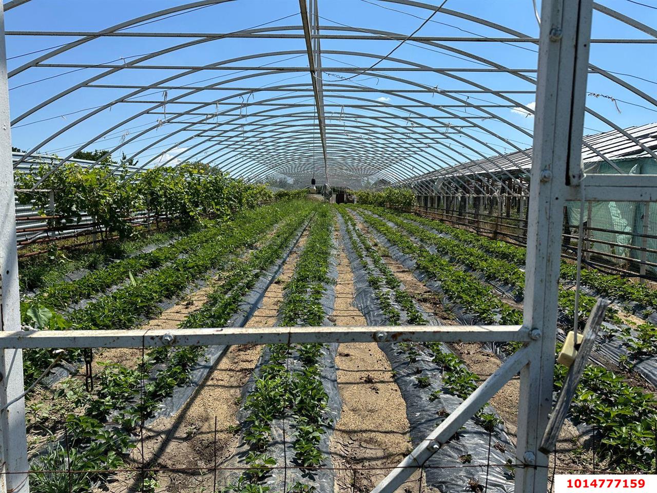 Фото №12: Дом 67 м² + 39 сот. - Суповский, ул. Ленина, 24