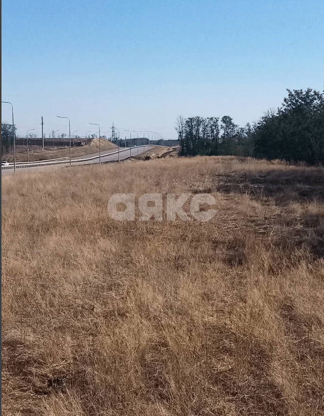 Фото №6: Коммерческая земля 60000 сот. - Каменный Брод, ул. Смирнова, 48