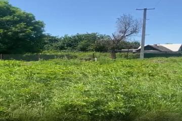 Фото №2: Коммерция 19 м² - Линейная, ул. Лесная, 15