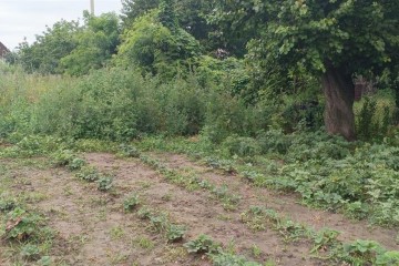 Фото №1: Дом 98 м² - Полтавская, ул. Кубанская, 18А