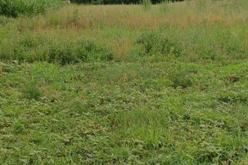 Фото №3: Дом 98 м² - Полтавская, ул. Кубанская, 18А