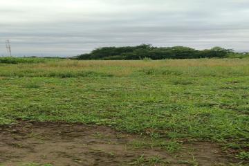 Фото №3: Дом 98 м² - Полтавская, ул. Кубанская, 18А