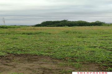 Фото №3: Дом 98 м² - Полтавская, ул. Кубанская, 18А