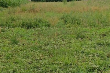 Фото №3: Дом 98 м² - Полтавская, ул. Кубанская, 18А