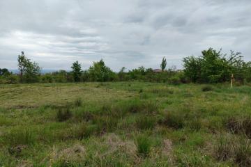 Фото №4: Земельный участок 6.24 сот. - Апшеронск, ул. Кленовая, 56