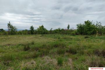 Фото №4: Земельный участок 6.24 сот. - Апшеронск, ул. Кленовая, 56