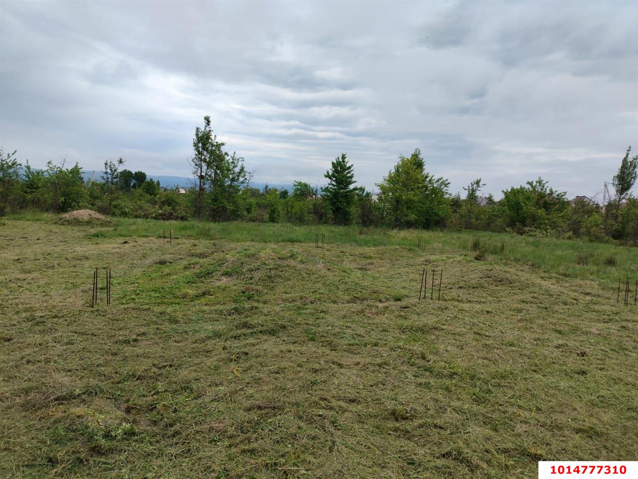 Фото №2: Земельный участок под ИЖС 6.24 сот. - Апшеронск, ул. Кленовая, 56