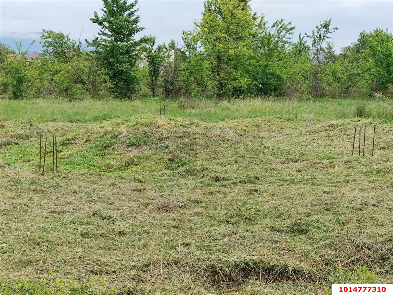Фото №1: Земельный участок под ИЖС - Апшеронск, ул. Кленовая, 56