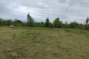 Фото №2: Земельный участок под ИЖС 6.24 сот. - Апшеронск, ул. Кленовая, 56