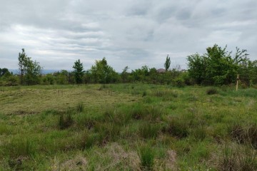 Фото №4: Земельный участок под ИЖС 6.24 сот. - Апшеронск, ул. Кленовая, 56