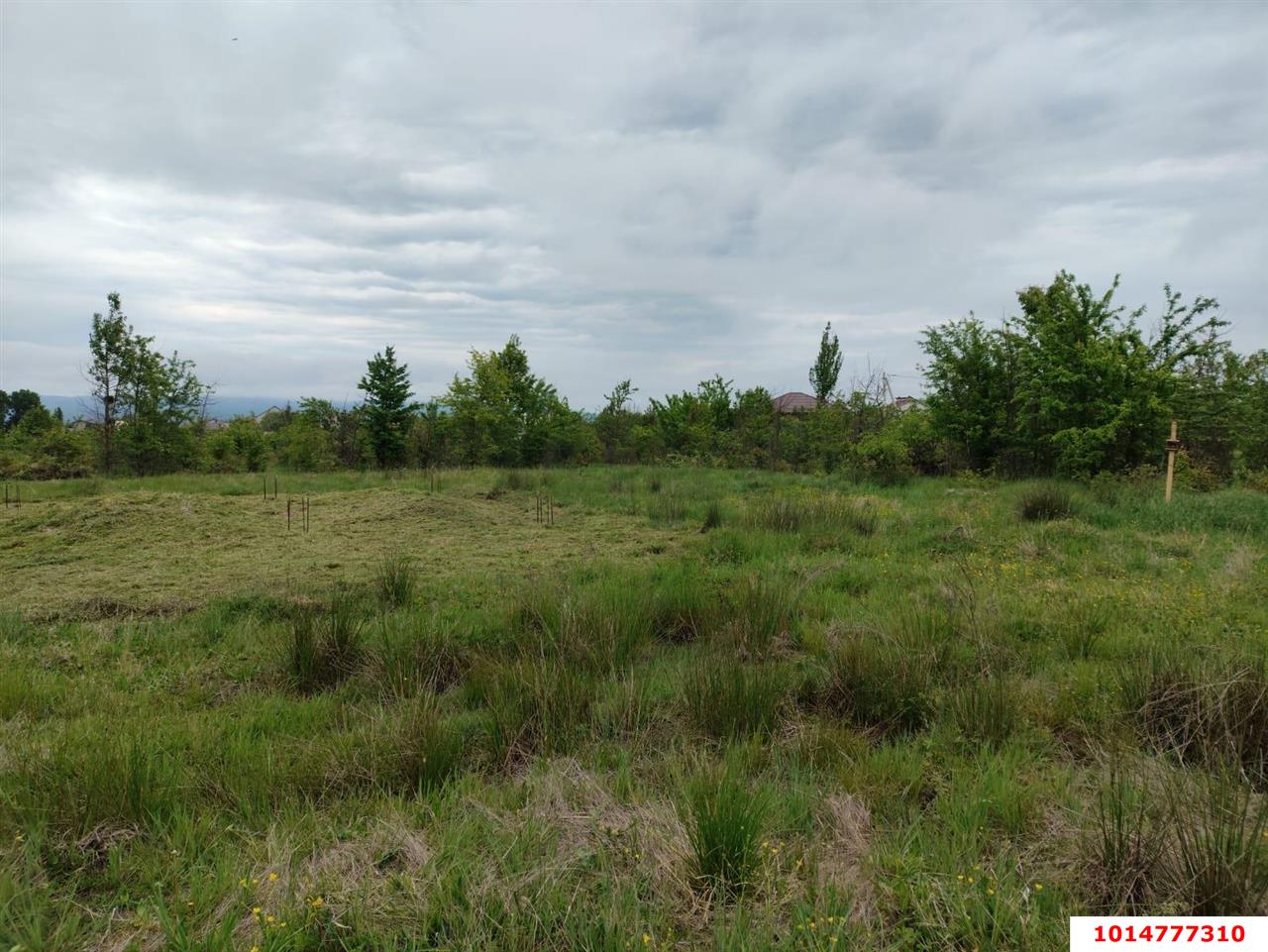 Фото №4: Земельный участок под ИЖС 6.24 сот. - Апшеронск, ул. Кленовая, 56