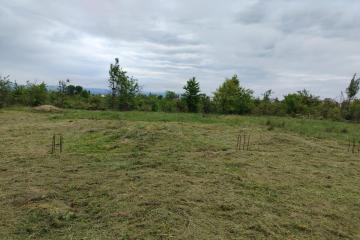 Фото №2: Земельный участок 6.24 сот. - Апшеронск, ул. Кленовая, 56