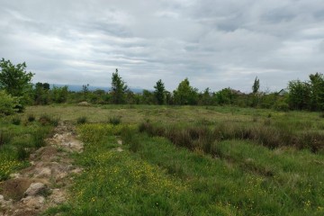 Фото №5: Земельный участок под ИЖС 6.24 сот. - Апшеронск, ул. Кленовая, 56