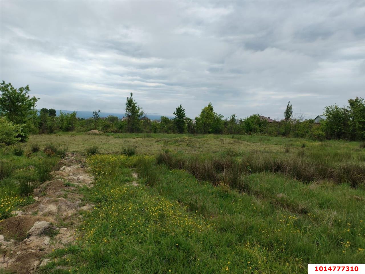 Фото №5: Земельный участок под ИЖС 6.24 сот. - Апшеронск, ул. Кленовая, 56