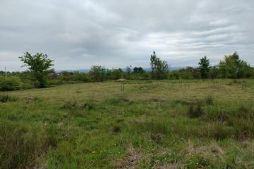 Фото №3: Земельный участок 6.24 сот. - Апшеронск, ул. Кленовая, 56