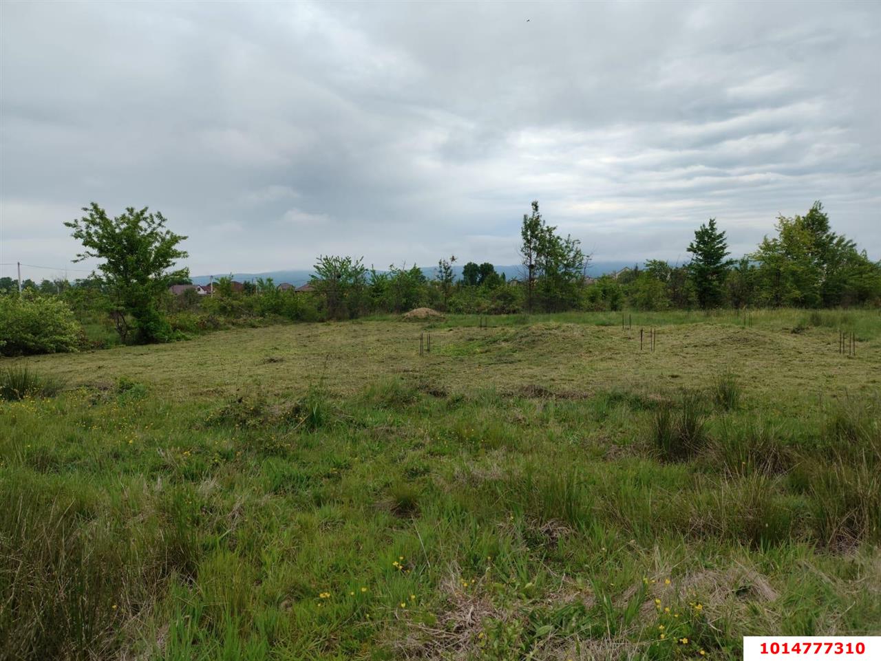 Фото №3: Земельный участок под ИЖС - Апшеронск, ул. Кленовая, 56