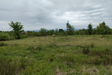 Фото №3: Земельный участок под ИЖС 6.24 сот. - Апшеронск, ул. Кленовая, 56