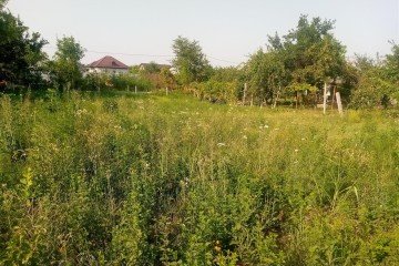 Фото №3: Участок садоводство 6 сот. - имени Хуаде, ул. Вишнёвая, 30