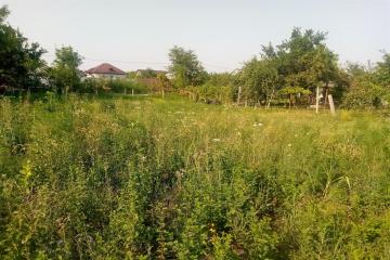 Фото №3: Земельный участок 6 сот. - имени Хуаде, ул. Вишнёвая, 30