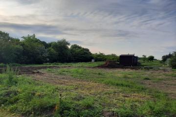 Фото №3: Земельный участок 10.85 сот. - Новый Сад, ул. Полевая, 39