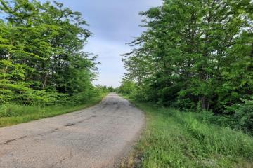 Фото №2: Земельный участок 10.85 сот. - Новый Сад, ул. Полевая, 39