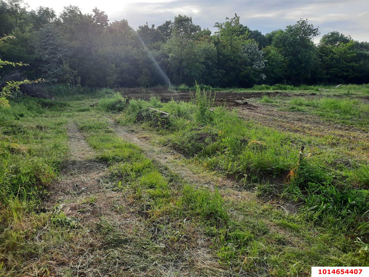 Фото №4: Личное подсобное хозяйство - Новый Сад, ул. Полевая, 39