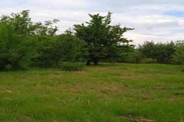 Фото №2: Земельный участок 4.5 сот. - Кубанская Нива, мкр. Прикубанский внутригородской округ, ул. Зелёная, 986